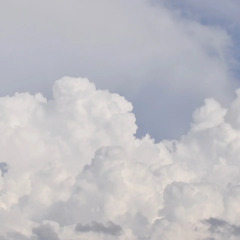 Ozone substitutes poisoned Earth with toxic persistent chemicals
