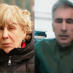 Маті Саакашвілі та його критики