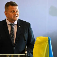 Залужний роз'яснює важливість децентралізації енергетики
