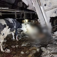 Дрони падали біля будинків на Чернігівщині