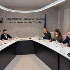 Украина и Япония финансирование бизнеса