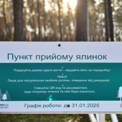 Пункты приема елок в Киеве
