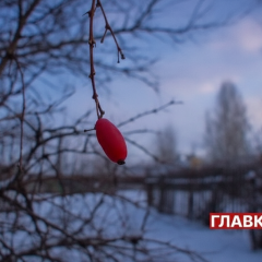 Ожеледиця та хуртовина в Україні