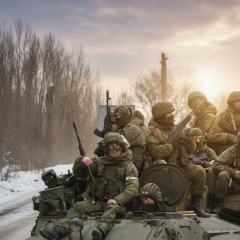 Окупація Новомиколаївки російськими військами