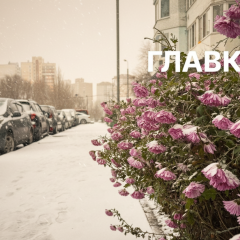 Теплая зимняя погода в Киеве