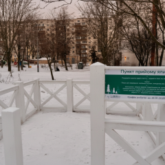 Пункты утилизации елок в Киеве