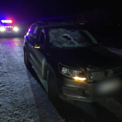 Водійка збила пішохода на Київщині