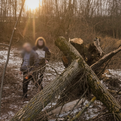 Трагедія в Закарпатті, дівчинка загинула