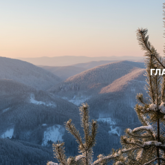 Снег и потепление 11 января