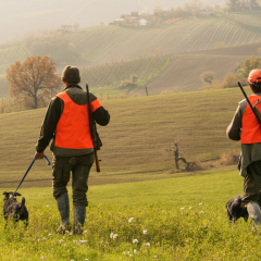 Poland raises rewards for hunters