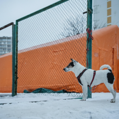 Киев после обстрела, без отопления