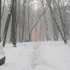Морози до -22°C на півночі України