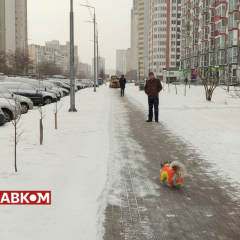 Туман и гололедица на дороге