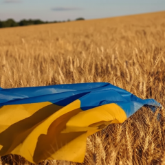 Празднование Дня Соборности Украины