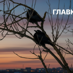 Сбой мониторинга воздуха в Киеве