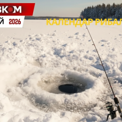 Рыбалка в феврале 2026: удачные дни, активность рыбы и размеры штрафов