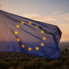 Військові товари ЄС доходять до Росії через треті країни