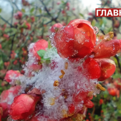 Прогноз погоды на следующую неделю