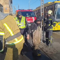 Діти у каналізаційному лабіринті