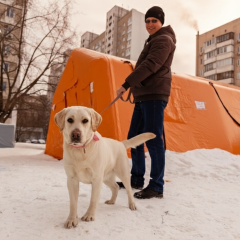 Дома в Киеве без тепла