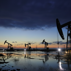 Индия покупает российскую нефть