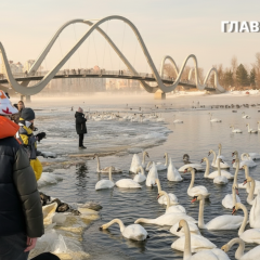 Україна, весняне тепло до +17°C