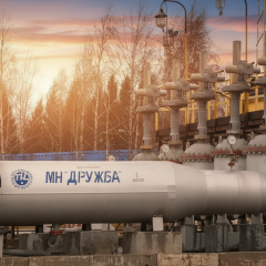 Европейские эксперты оценивают ущерб «Дружбы»