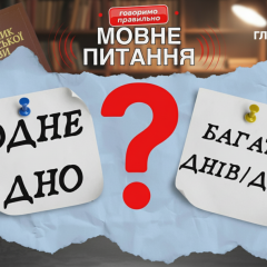 Філологиня пояснює правила утворення форми множини слова 'дно'