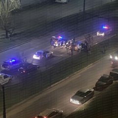 Чоловік із розшуку відкрив вогонь