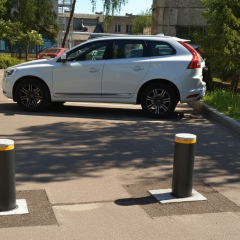Болларды на улице заботятся городским сервисом