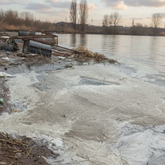 Забруднення води Південного Бугу у Вінниці