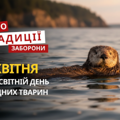 Аквариумные рыбки в мировых водах