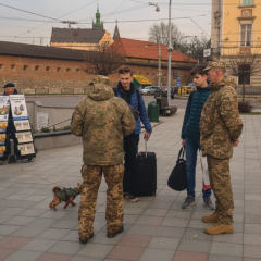 Різноманітні порушення в системі ТЦК