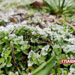 Ночные морозы в Киеве 7-9 апреля
