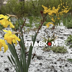 Квітнева злива та заморозки в Києві
