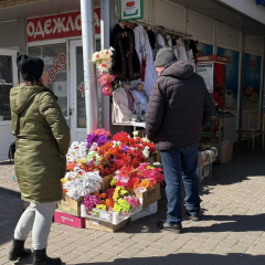 Живые растения вместо пластиковых цветов