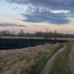 Поліція розслідує пожежу в Київській області