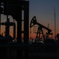 Поля черные в нефтяном регионе