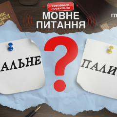 Филолог объясняет разницу между топливом и пальным