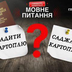 Philologist explains the difference between words
