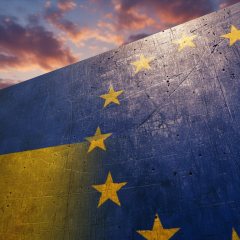 Украине предлагают статус без права голоса