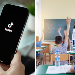 Володин обвиняет Украину в тренде TikTok