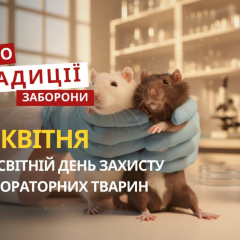 Лабораторные животные и Сава Стратилат: 24 апреля