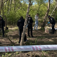 Тело младенца в сумке в парке
