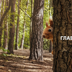 Погода 29 квітня: заморозки та дощі