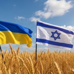 Відмова імпортера від українського зерна