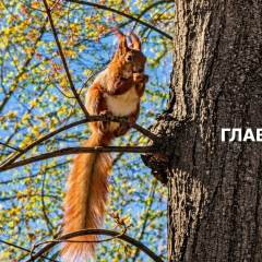 Прогноз погоды на 1 мая