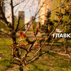 Прогноз погоди на 3 травня