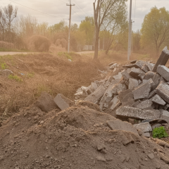 Знищення дерев у заказнику в Бортничах