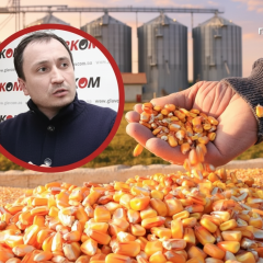 Заключенный экс-министр Сольский на фоне черно-белой клетчатой стены